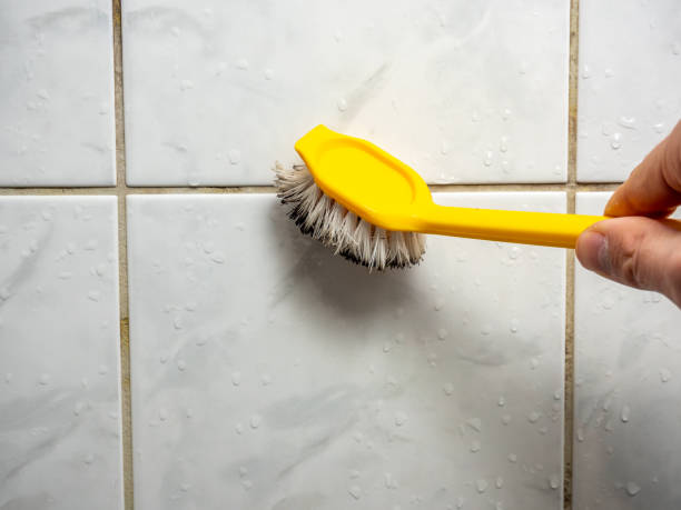 Best Toxic Mold Removal  in Ronkonkoma, NY