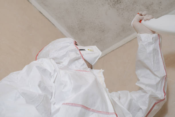 Best Commercial Mold Removal  in Ronkonkoma, NY